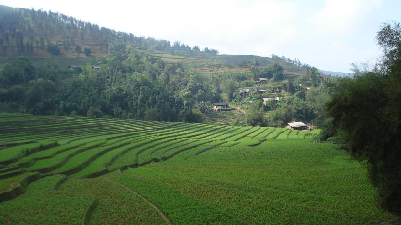 Sa House Bac Ha Apartment Ngoại thất bức ảnh