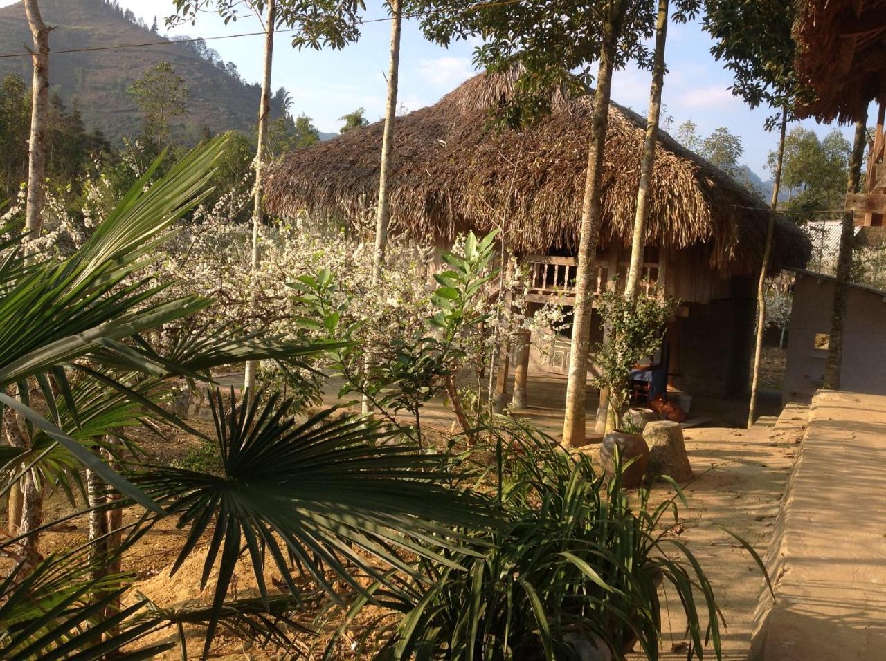Sa House Bac Ha Apartment Ngoại thất bức ảnh