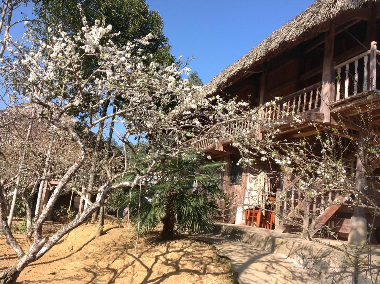 Sa House Bac Ha Apartment Ngoại thất bức ảnh
